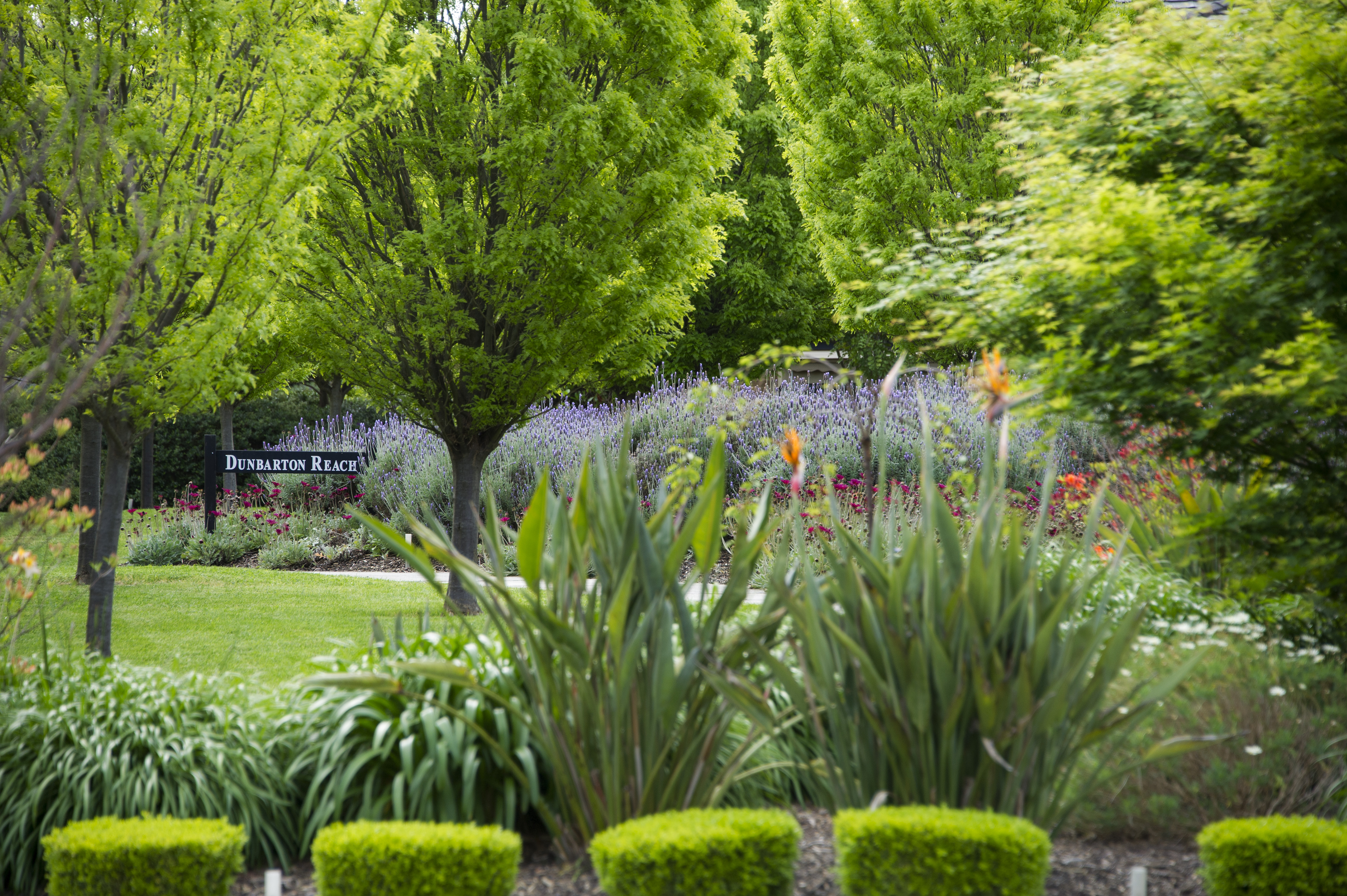 Gardens Retirement Village Doncaster 18