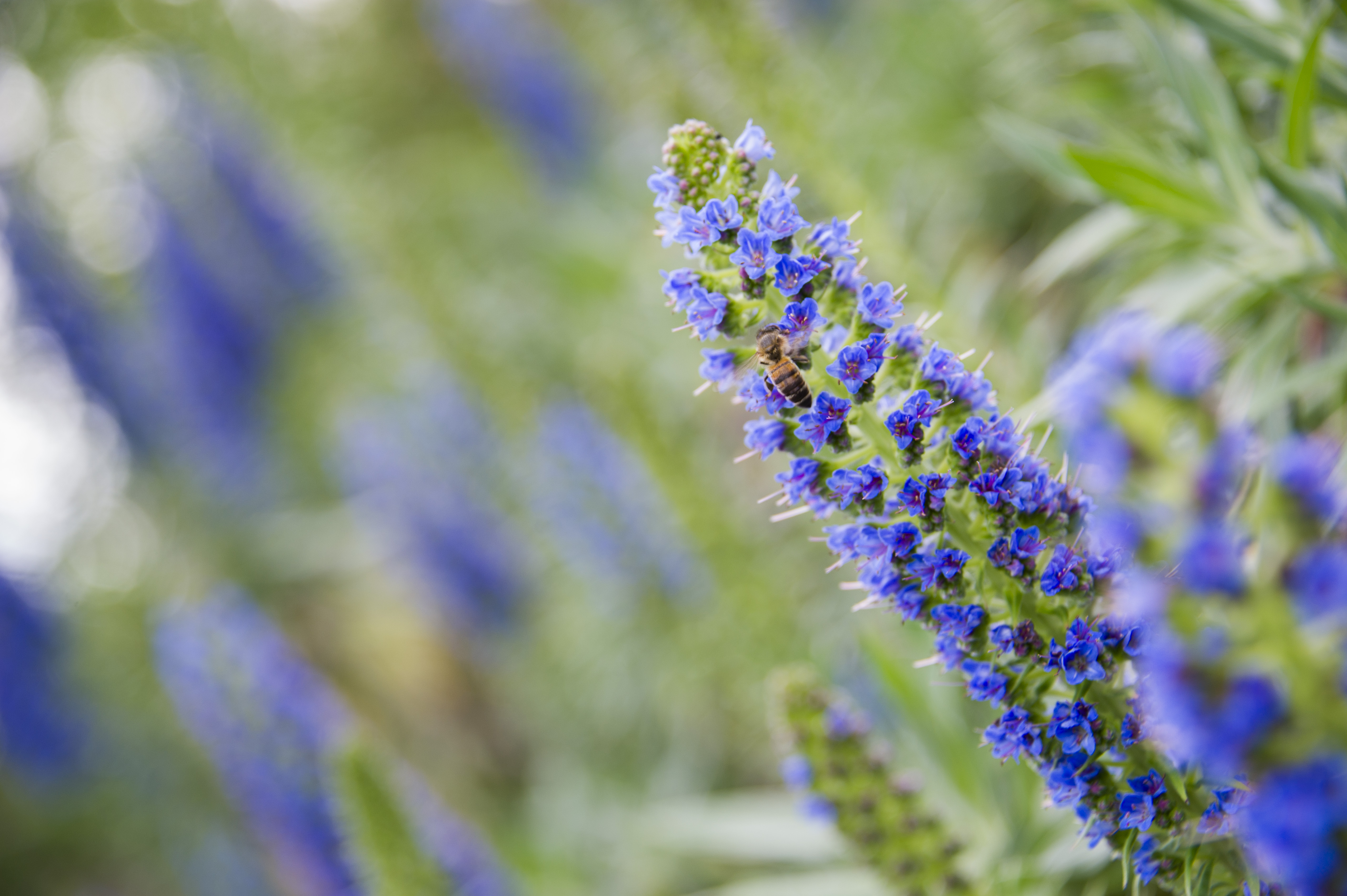 Gardens Retirement Village Doncaster 19