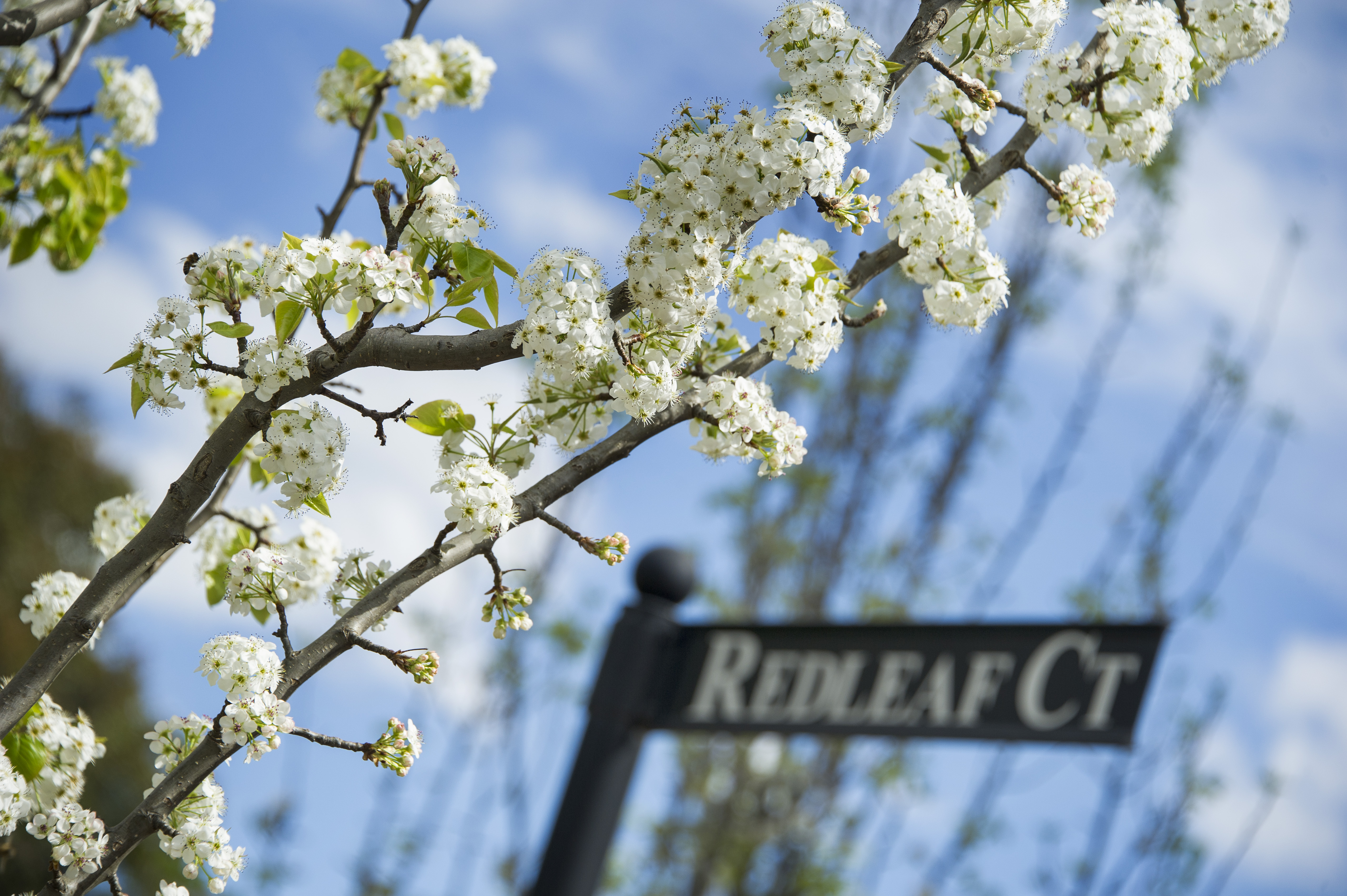 Gardens Retirement Village Doncaster 15